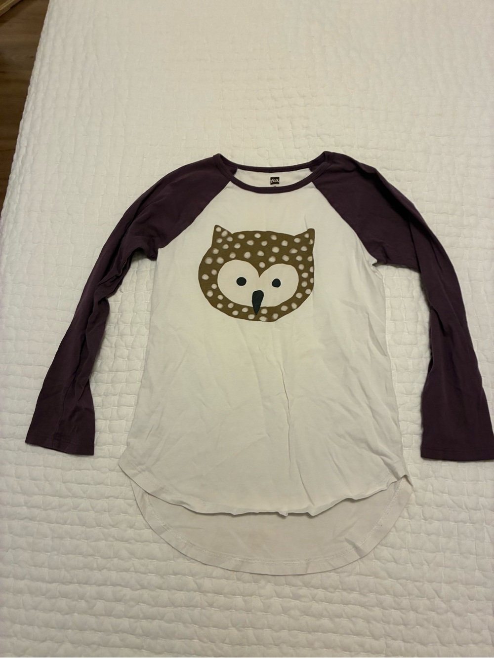 Tea Collection White Long Sleeve Tee with Purple Raglan Sleeves and Brown Owl